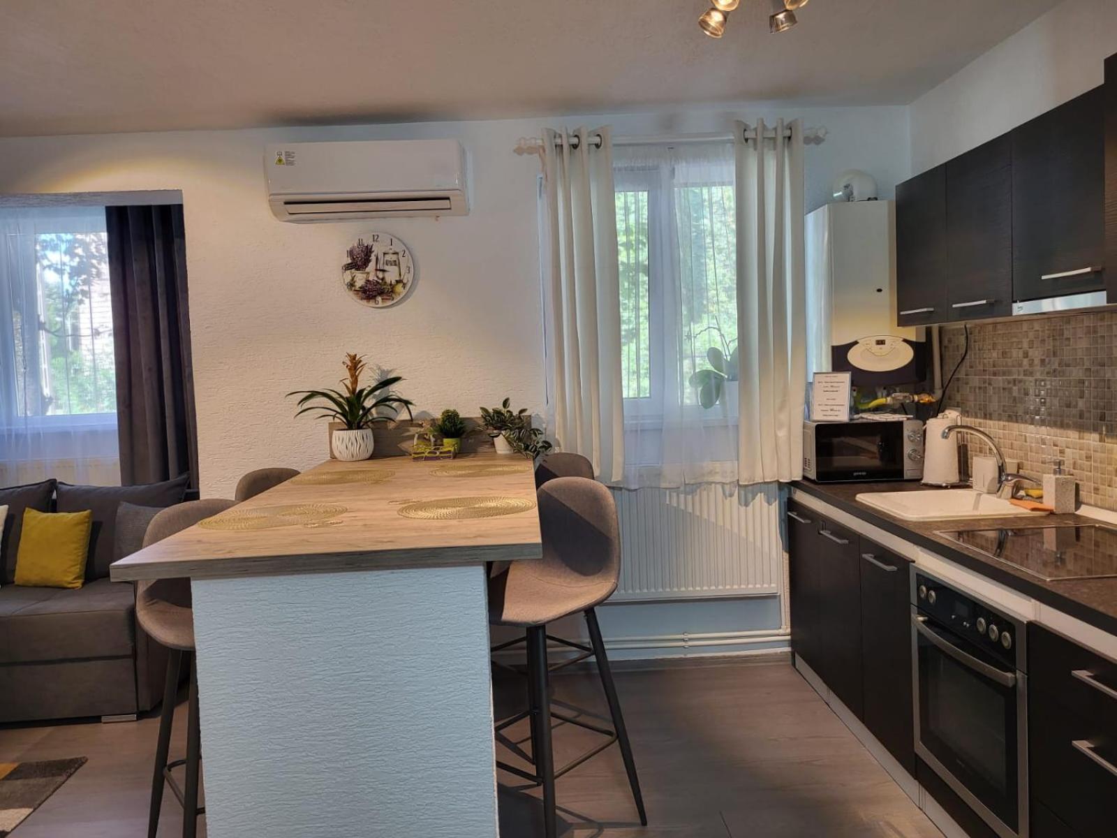 Mona Central Apartment Хунедоара Экстерьер фото