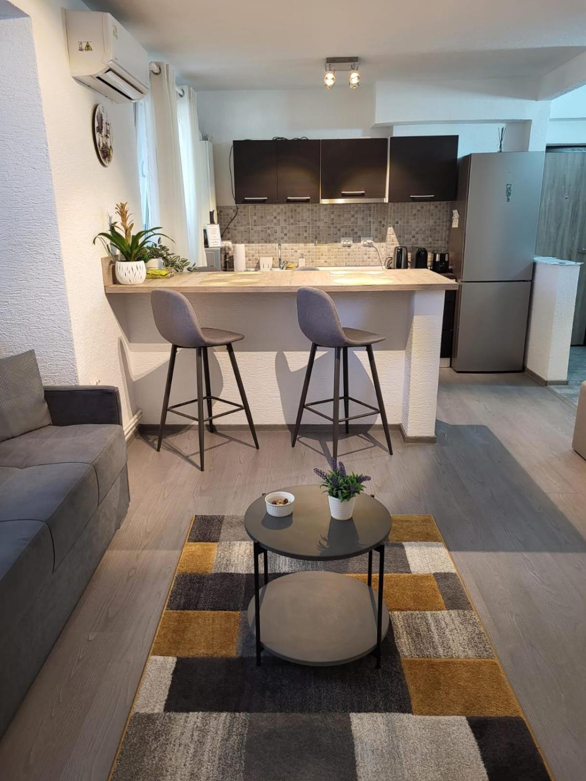Mona Central Apartment Хунедоара Экстерьер фото