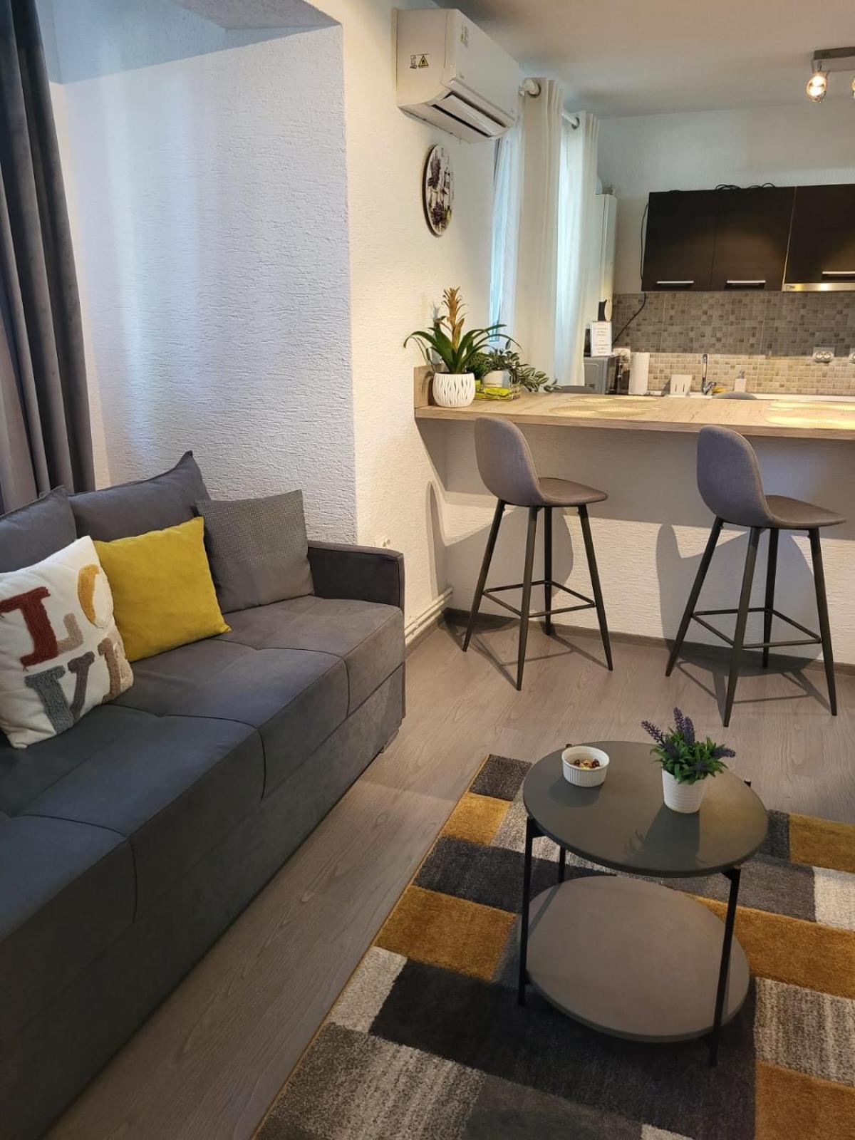 Mona Central Apartment Хунедоара Экстерьер фото